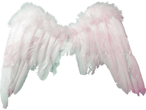 white angel wings pale png filler aesthetic