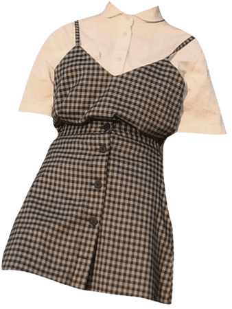 Brown plaid dress