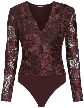 Lace Embroidered V-neck Long Sleeve Thong Bodysuit | Express