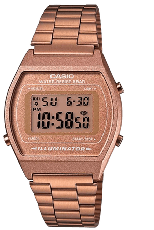Casio bronze watch