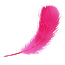 hot pink feather – Google Søgning