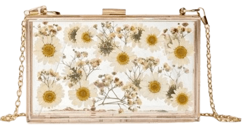 clear daisy embedded box bag