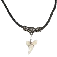 shark tooth necklace - Google Search