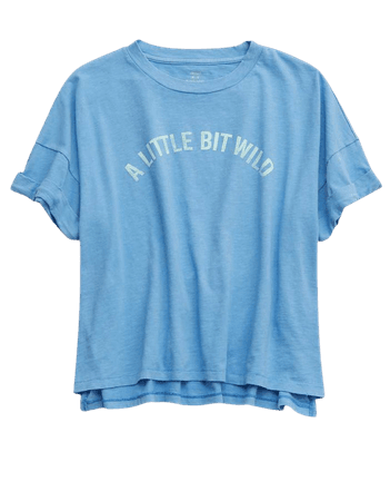 Aerie Little Bit Wild Graphic Oversized Cropped T-Shirt