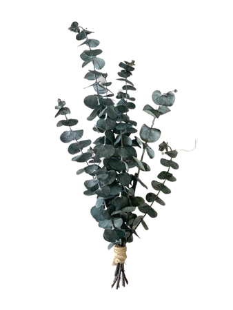 Eucalyptus minibouquet-Preserved eucalyptus-Dried flowers mini | Etsy