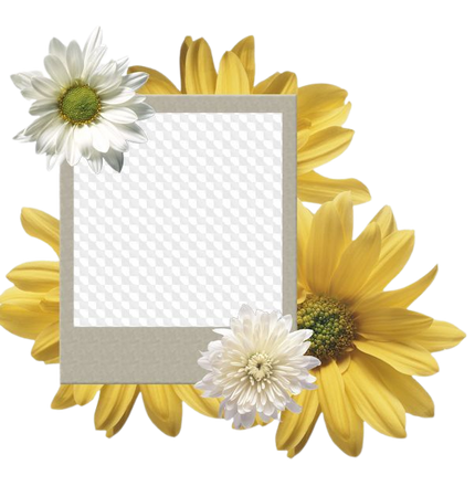 Polaroid frames png, download - free 28 polaroid photo frames. Transparent PNG Frame, Layered PSD Photo frame template, Download.