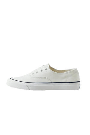 Keds Surfer Organic Cotton Sneaker | Urban Outfitters