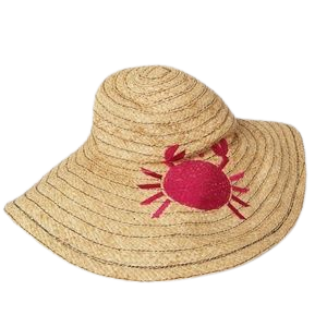 Jonathan Adler Accessories | Jonathan Adler Embroidered Crab Floppy Hat | Poshmark