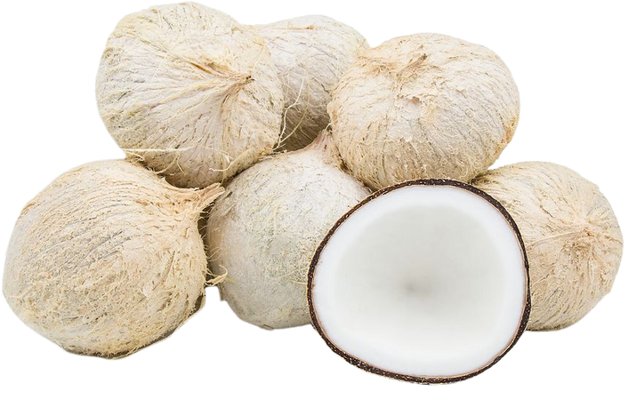 White Coconuts - Specialty Produce