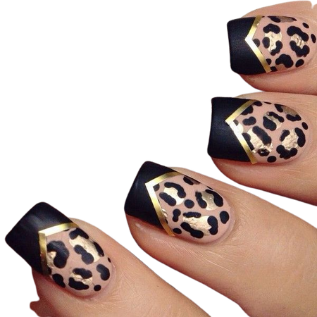 leopard nails - Google Search