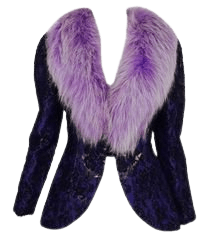 Pinterest lace patch witch purple fur punk patch pants black lace velvet jacket bunny ears crop top cute pretty goth fun extra png