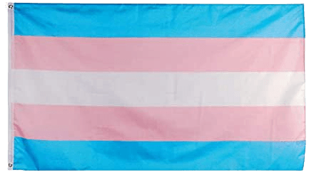Amazon.com : Flaglink Transgender Pride Flag 3x5 Fts - LGBT Trans Rainbow Banner