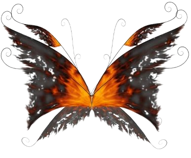 faerie wings