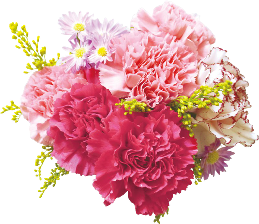Flower Bouquet Carnation Floral Design Cut Flowers - Transparent Background Flower Png, Png Download - kindpng