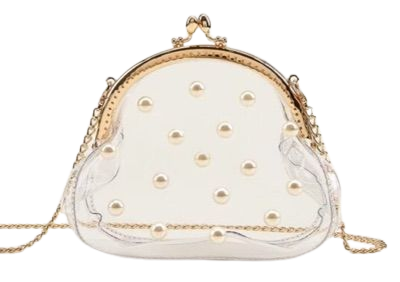 clear bag with pearls