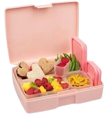 Amazon.com: Leak-proof Bento Lunch Box with 5 Removable Containers (Translucent Pink): Gateway