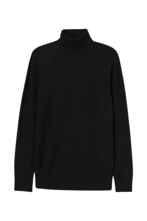 Slim Fit Fine-knit Turtleneck Sweater - Black - Men | H&M US