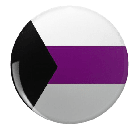 demisexual pride pin