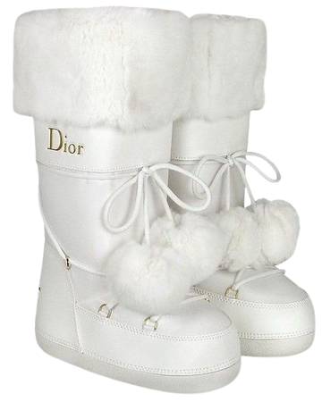 Dior moon boots