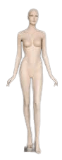 mannequins with face full body standing straight - Google Search
