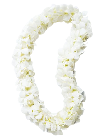 Hawaiian White Necklace Flower Lei