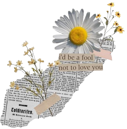 flowers cutout mood aesthetic png