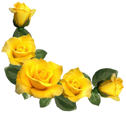 Yellow Rose Clipart (Icon Supplies)
