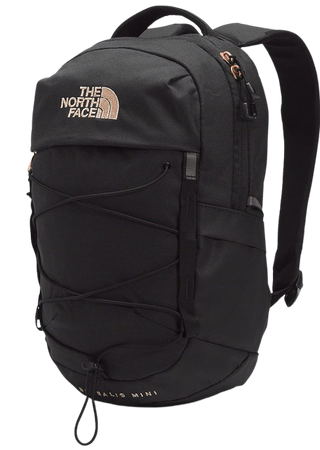 Northface Borealis backpack