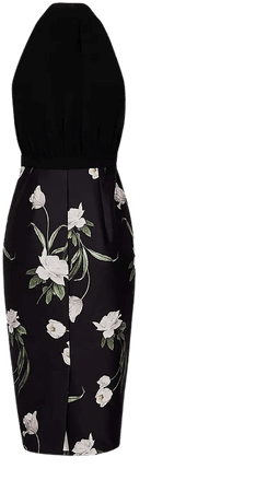 Ted Baker Elderflower Halter Sheath Dress | Bloomingdale's