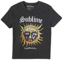 Women's Sublime Short Sleeve Graphic T-Shirt - Charcoal Heather : Target