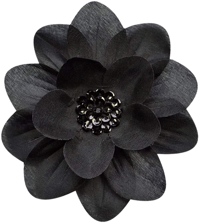 black flower - Google Search