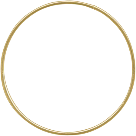 Gold Circle Aerialist Hoop 1