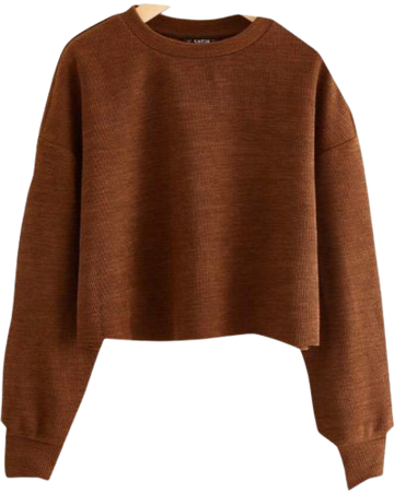 brown sweater