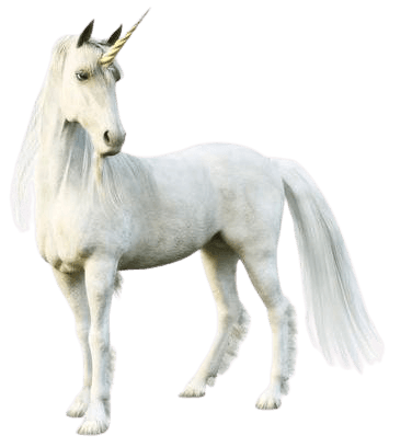 white unicorn - Google Search