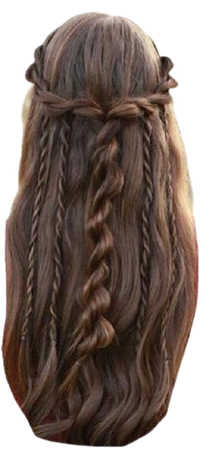 brown hair braided hairstyle