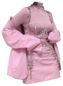 Pink Outfit Dress PNG