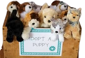 adopt a puppy party - Google Search