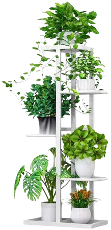 Amazon.com : Flower Plant Stand Indoor 5 Tier Metal Plant Stand Flower Pots Stander Display Pots Holder (Black) : Garden & Outdoor