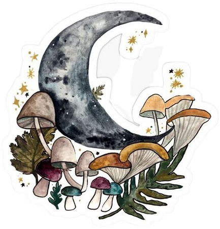 moon mushroom
