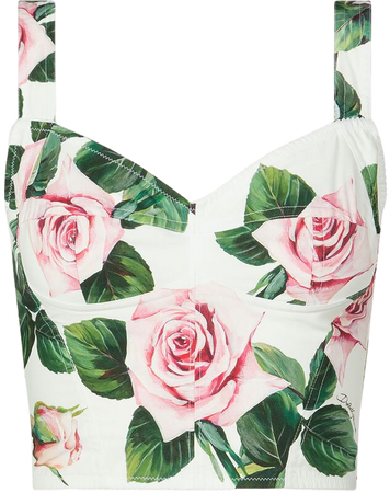 TROPICAL ROSES top dolce