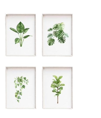 watercolour plant prints