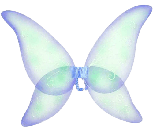 Google Express - Fun World 8100fpr Wings Fairy Prpl Blu Grn - Blue/Green, One Size