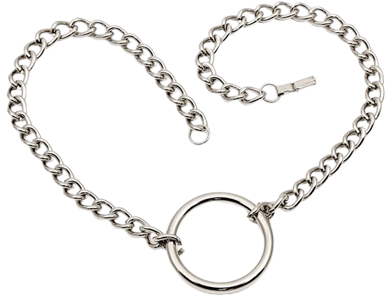 *clipped by @luci-her* O-RING PENDANT NECKLACE SILVER - Sourpuss Clothing