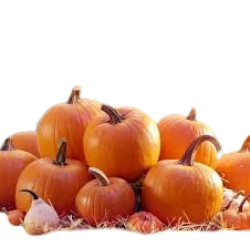 pumpkin patch - Google Search