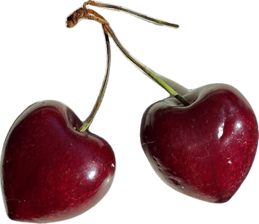 cherry cherries png filler