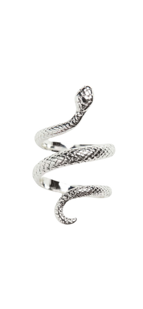 H&M Silver Snake Ring