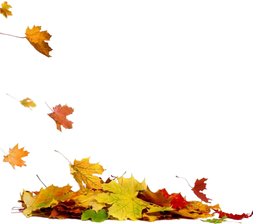 pile-of-autumn-colored-leaves-isolated-on-white-backgrounda-heap-of-picture-id858970588 (612×598)