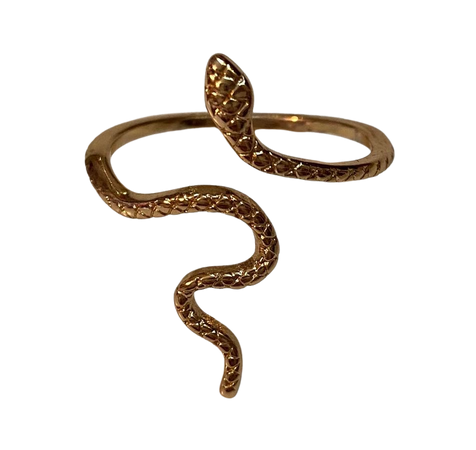 Old Navy Snake Ring