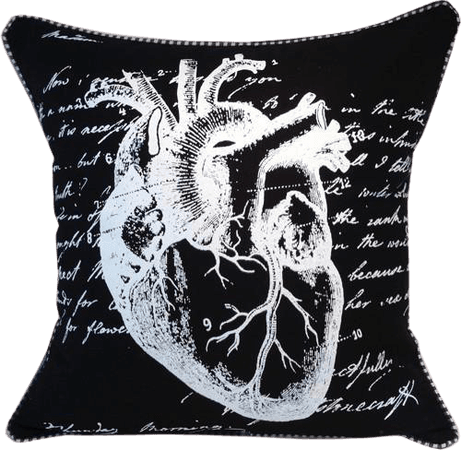 Anatomical Heart Pillow (black)