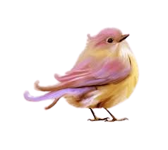 pink birds png - Google Search